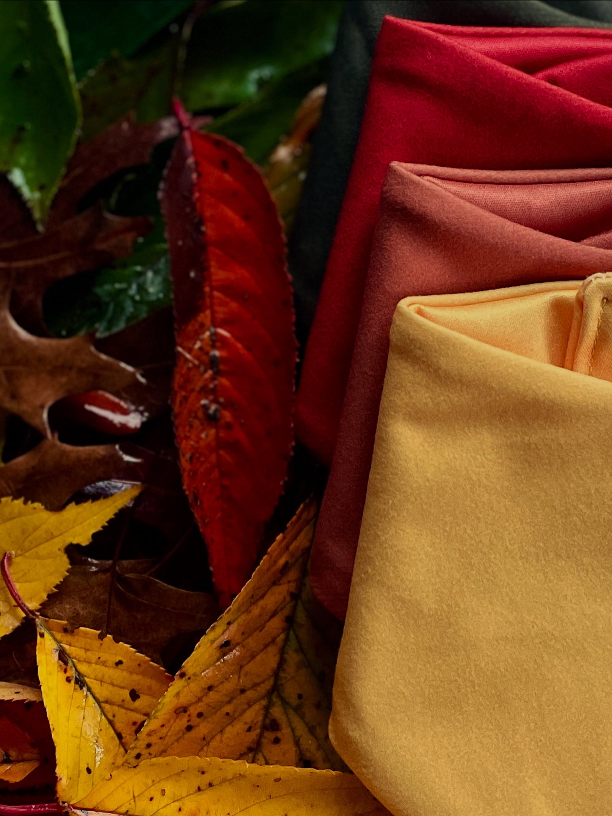 Waterproof Dribble Bibs – Stylish & Practical Bundles - Save 20% - 5 Bibs
